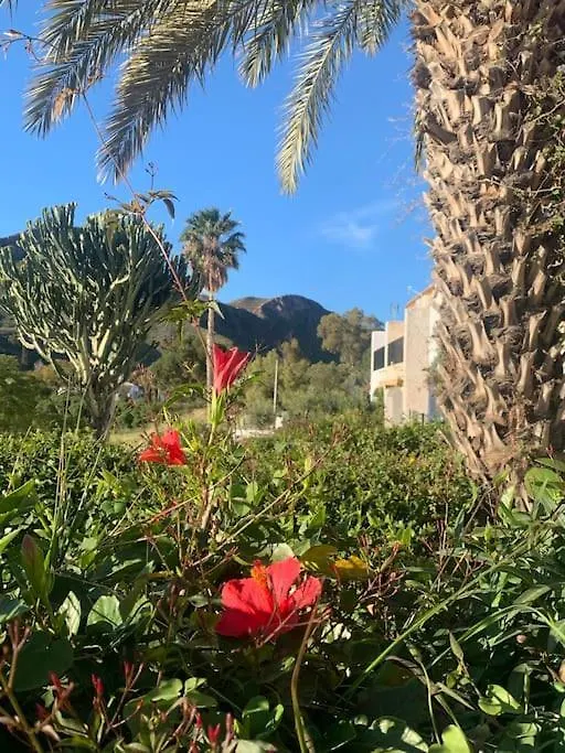 Cervantes 3 Mojacar Turre Spain